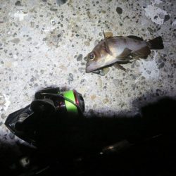 まだ早いのか!?