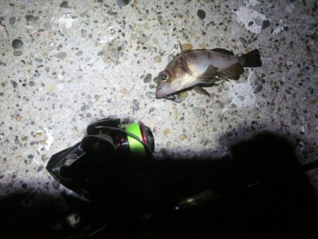 まだ早いのか!?