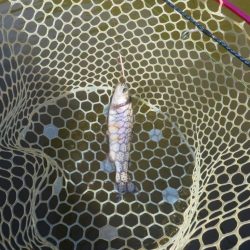 平日なのにスゴイ混雑！