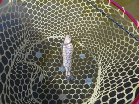 平日なのにスゴイ混雑！