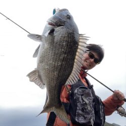 あとイカが釣れていればRIDEONパレードだった。