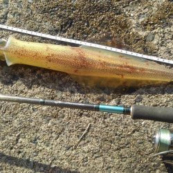 パ・ラ・ソ・ル?