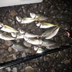 (尺足らず)フロートゲーム