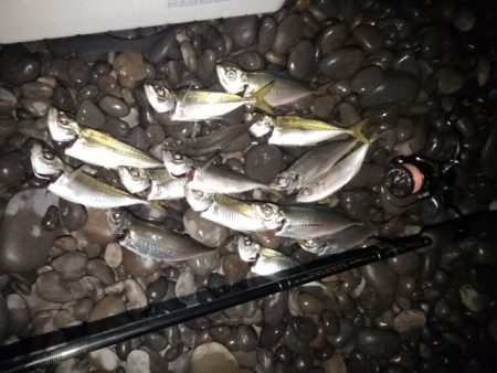 (尺足らず)フロートゲーム