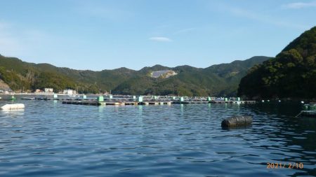 カセでグレを狙って