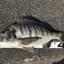 イチノ兄弟、釣果!