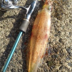 あ、花粉が？？