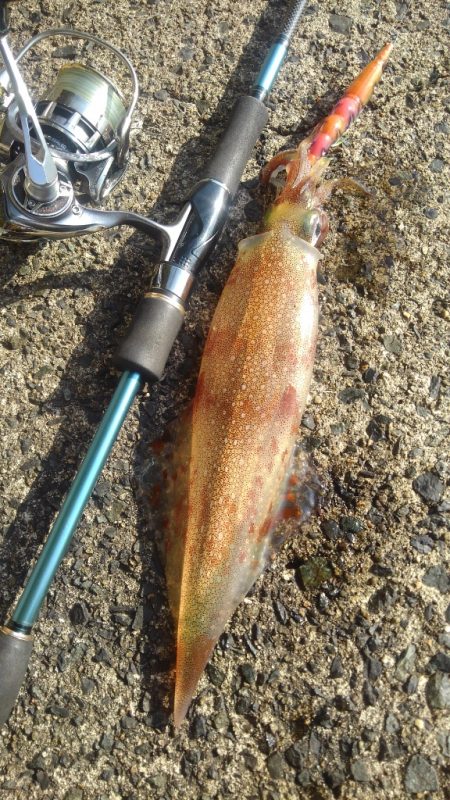 あ、花粉が？？