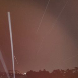 チーバスフィッシング