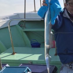 タチウオテンヤ