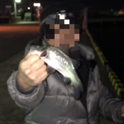 今年和歌山初フィッシュ