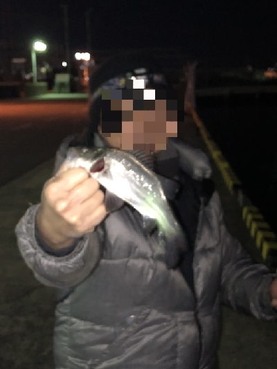 今年和歌山初フィッシュ