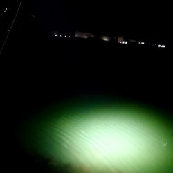 メバルの代わりにスズキさんとバトル