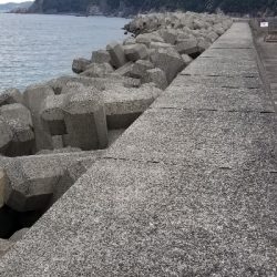 朝、穴釣りに行きました。