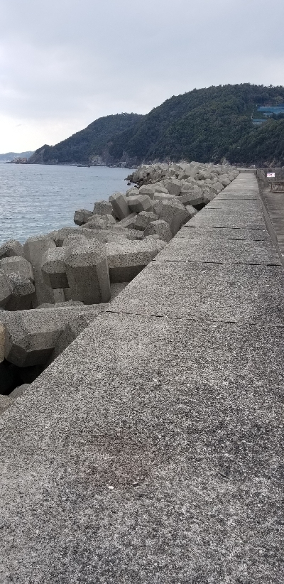 朝、穴釣りに行きました。