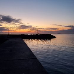 グレ&メバル　夕まずめアジ