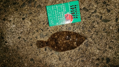 暖かい予報だったので・・・