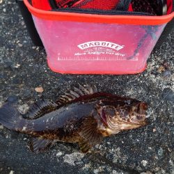 爆風スランプ!激アツ釣行!