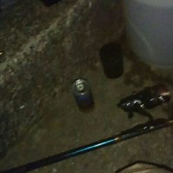 去年12月以来の初釣りでアオリイカGET!