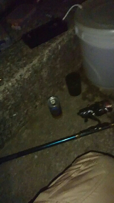 去年12月以来の初釣りでアオリイカGET！