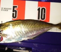 あー気持ちいいもー気持ちいい