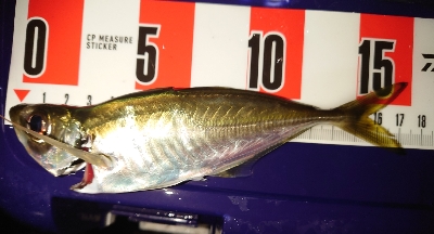 あー気持ちいいもー気持ちいい