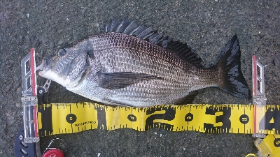 フッキングの練習