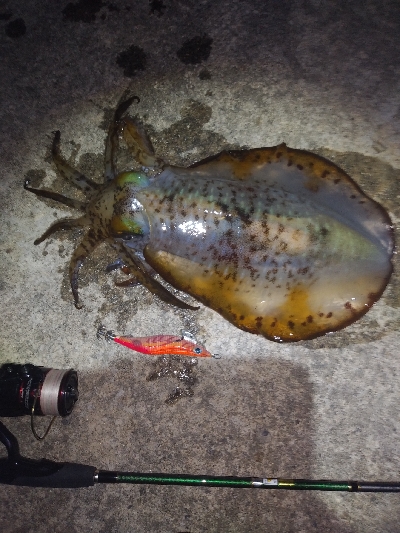 久々のキロup！