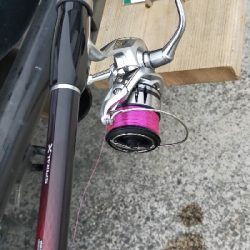 朝マヅメ、今年初チヌ