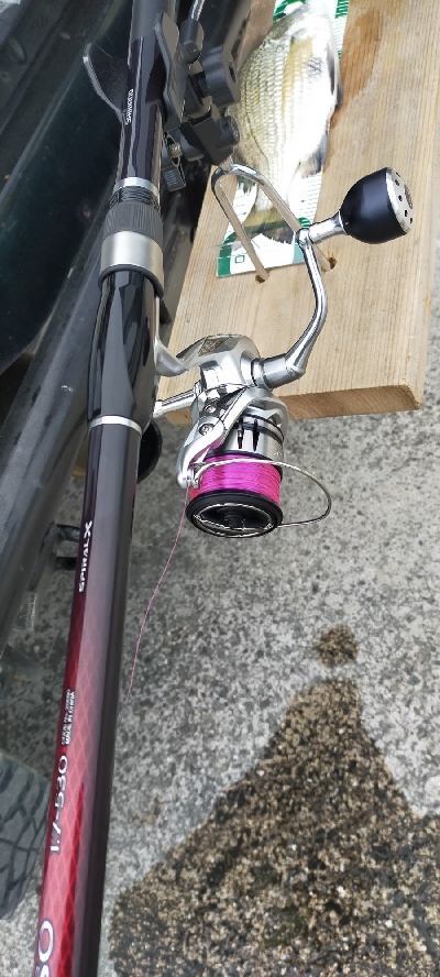 朝マヅメ、今年初チヌ