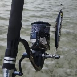 西表島南風見田のリーフにて