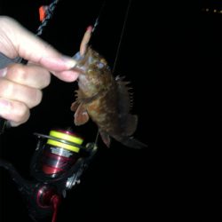 メバリングのはずが