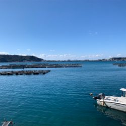 大島ランガンエギング！