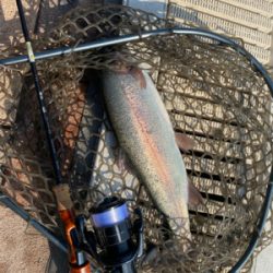 春の陽気の中、エリアトラウト