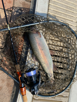 春の陽気の中、エリアトラウト