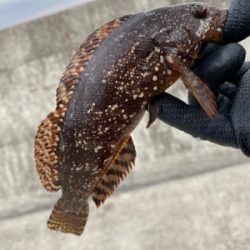 ワームで穴釣り！