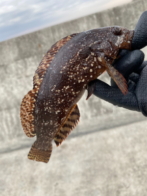 ワームで穴釣り！