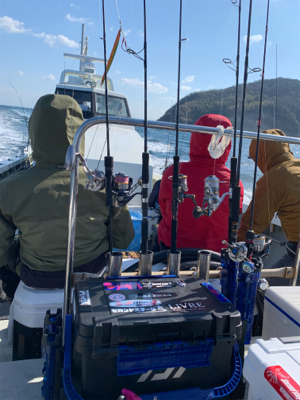 沼島のジギング