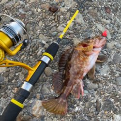 穴釣りサイコー!