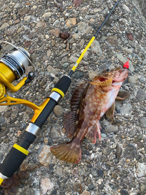 穴釣りサイコー!