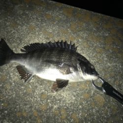 ☆2021年待望の1本