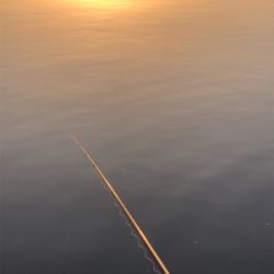 魚は居てます。後は釣るだけ。