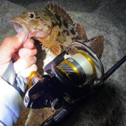 メバリングのはずが…