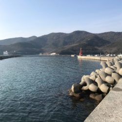 素晴らしい景色とガシラ