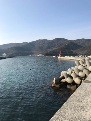 素晴らしい景色とガシラ