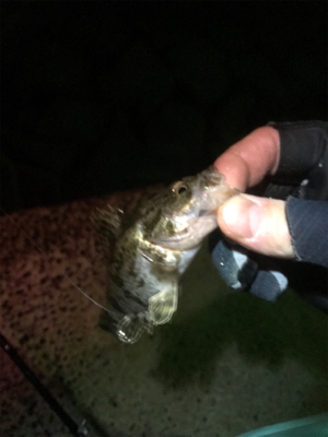 暇つぶしにライト五目