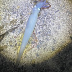 会社の上司と初めての釣り