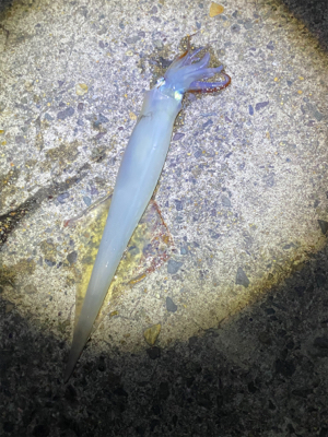 会社の上司と初めての釣り