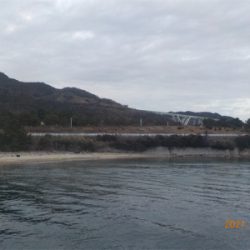 ガシラに癒される