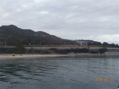 ガシラに癒される